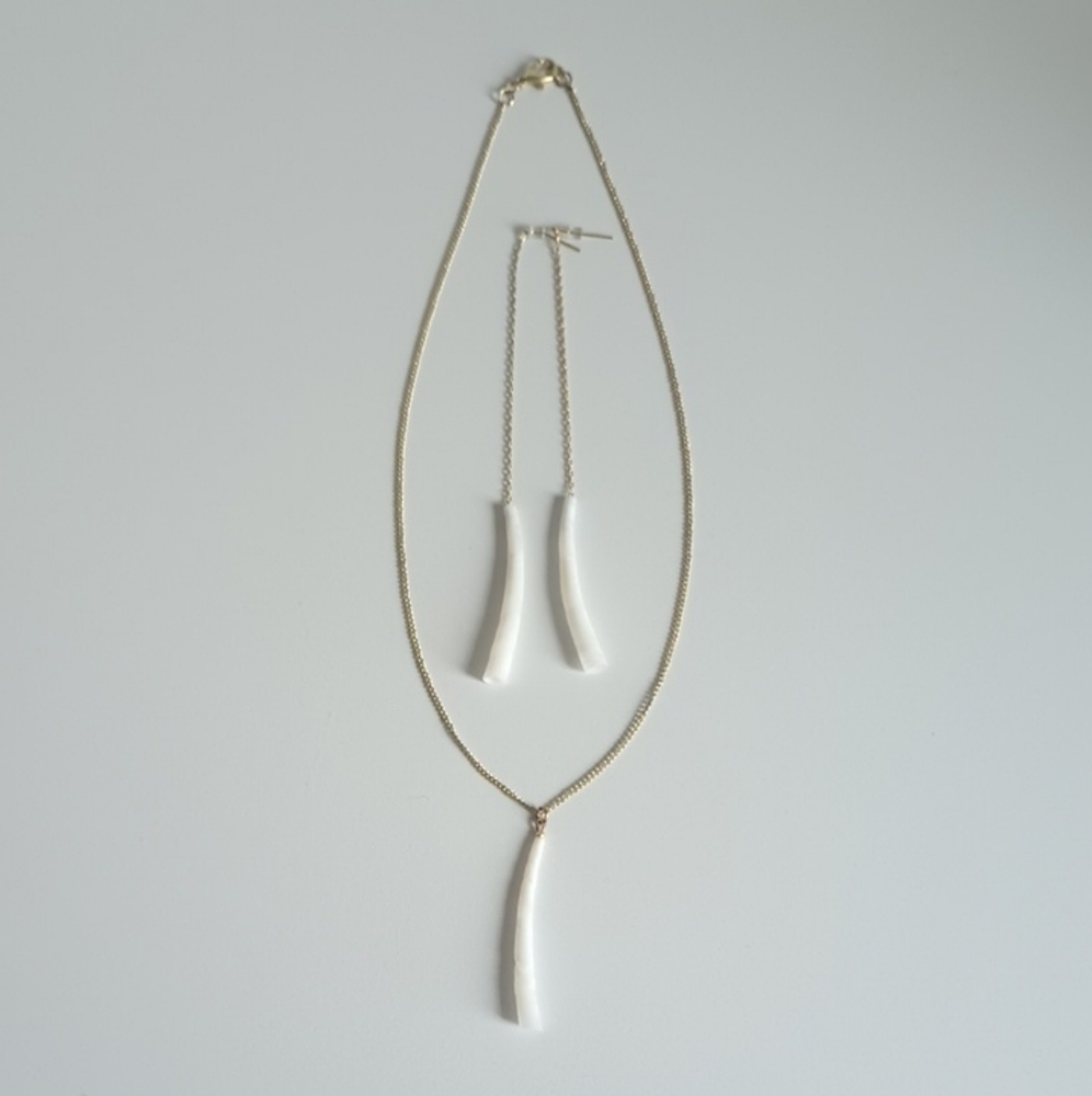 Beautiful Dentalium Set!!